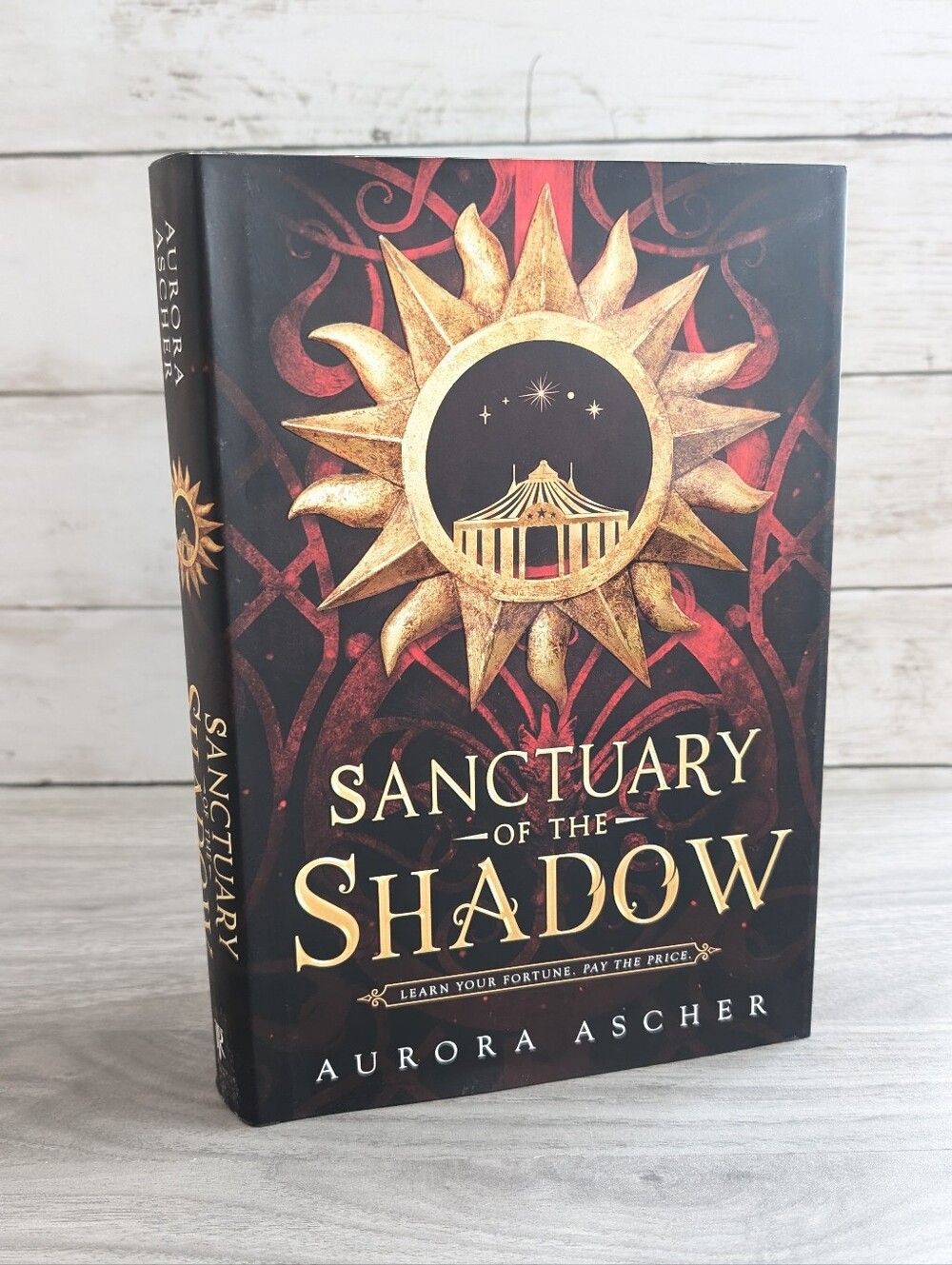 Sanctuary of the Shadow by Aurora Ascher